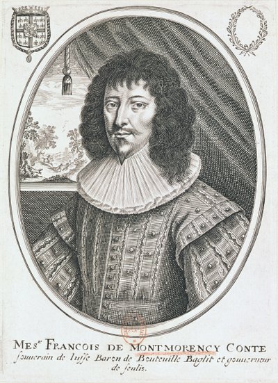 Portrait of Francois de Montmorency by French School